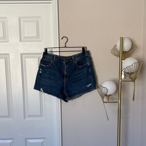 Aerie Dark Blue Jean Shorts